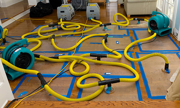Professional Storm Water Damage Restoration technician working in Garden City, MO